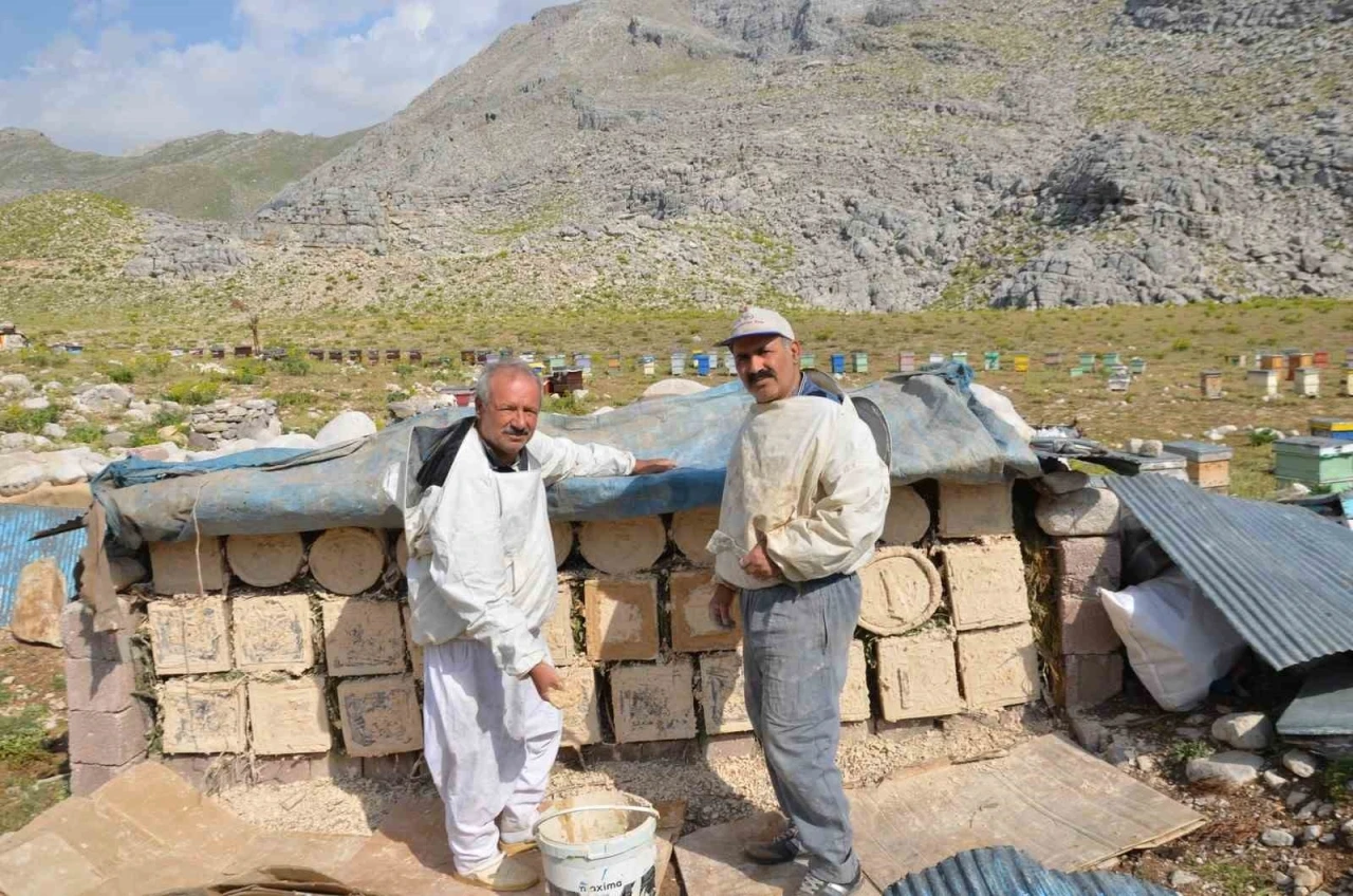 Antalya’da arıcılar kara kovanlarını yüksek kesimlerdeki yaylalara çıkardı
