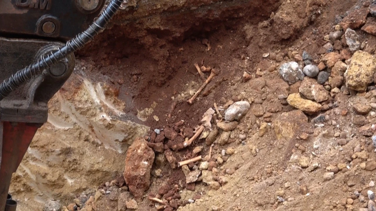 Antalya&rsquo;da belediye kazısında kemik par&ccedil;aları bulundu
