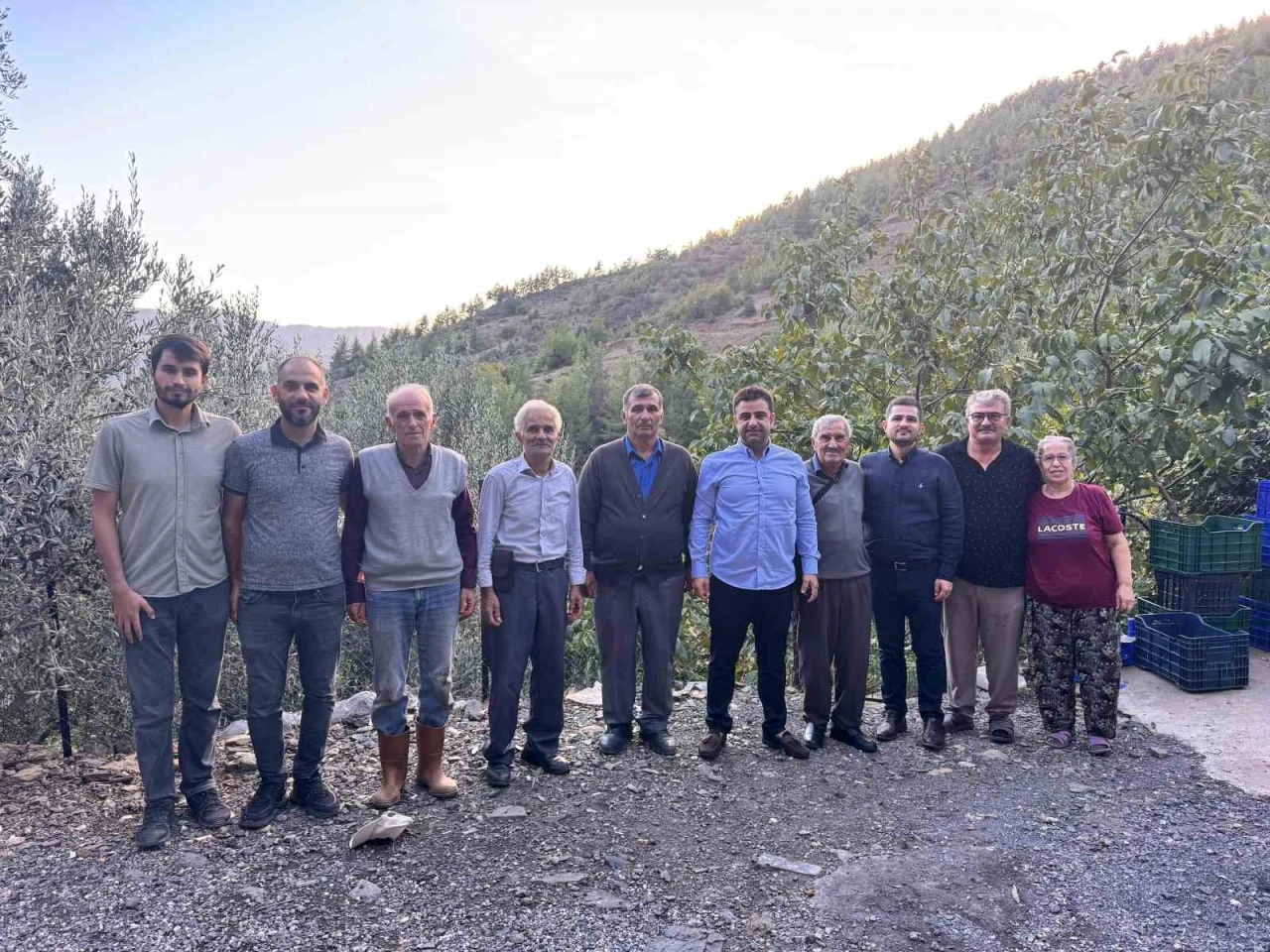 Antalya’da coğrafi işaretli çekirdeksiz narın hasadı başladı
