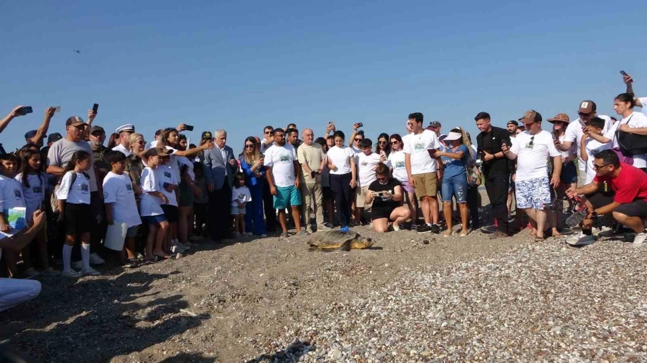 Antalya’da deniz kaplumbağaları çip takılarak denize uğurlandı
