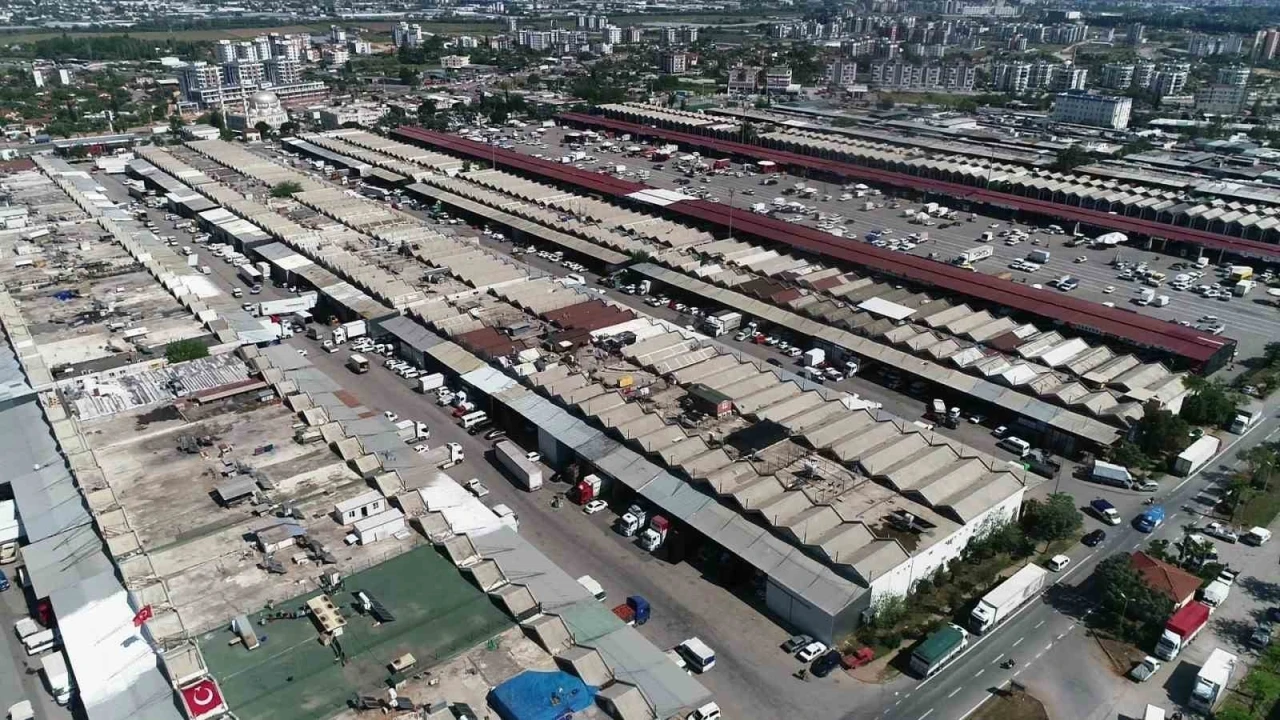 Antalya&rsquo;da haziranda domates ve meyvede işlem miktarı arttı
