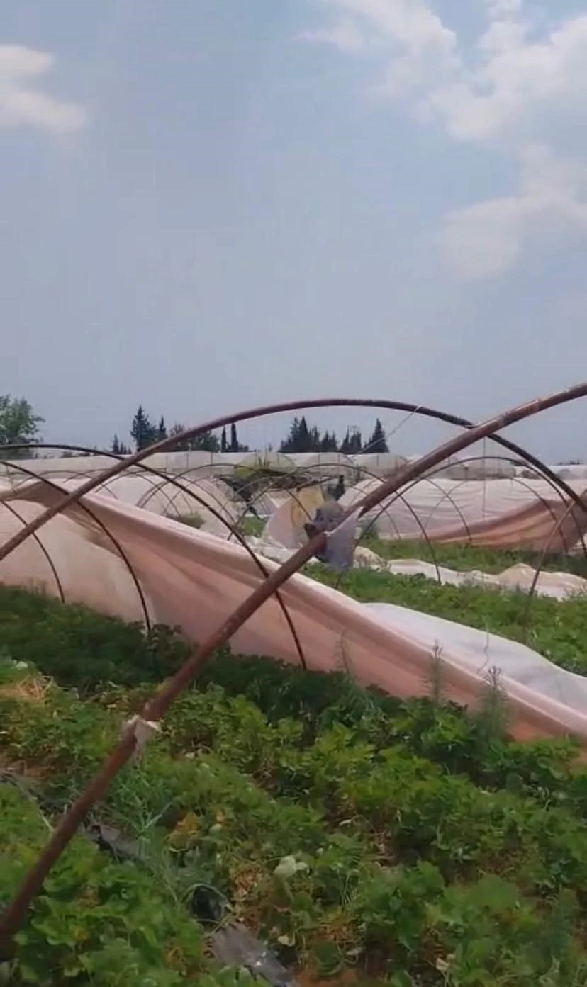 Antalya’da hortum seralara zarar verdi

