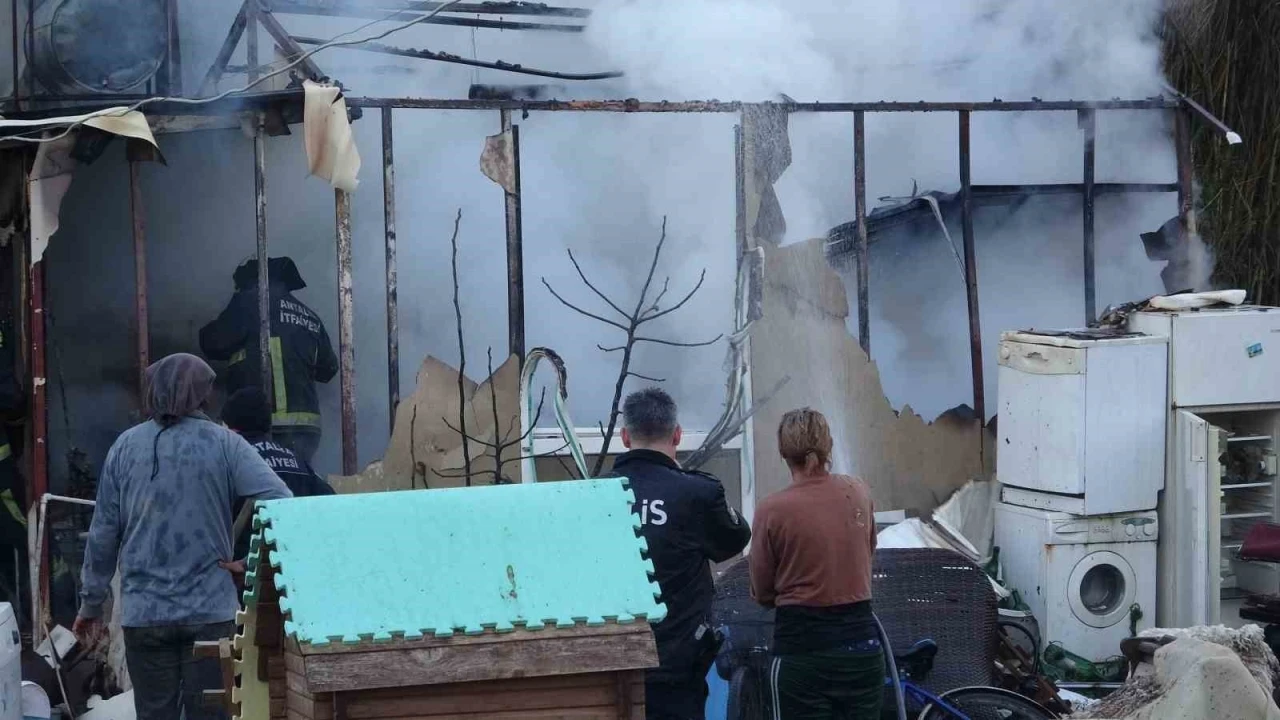 Antalya&rsquo;da konteyner ev alevlere teslim oldu: 2 kedi telef oldu
