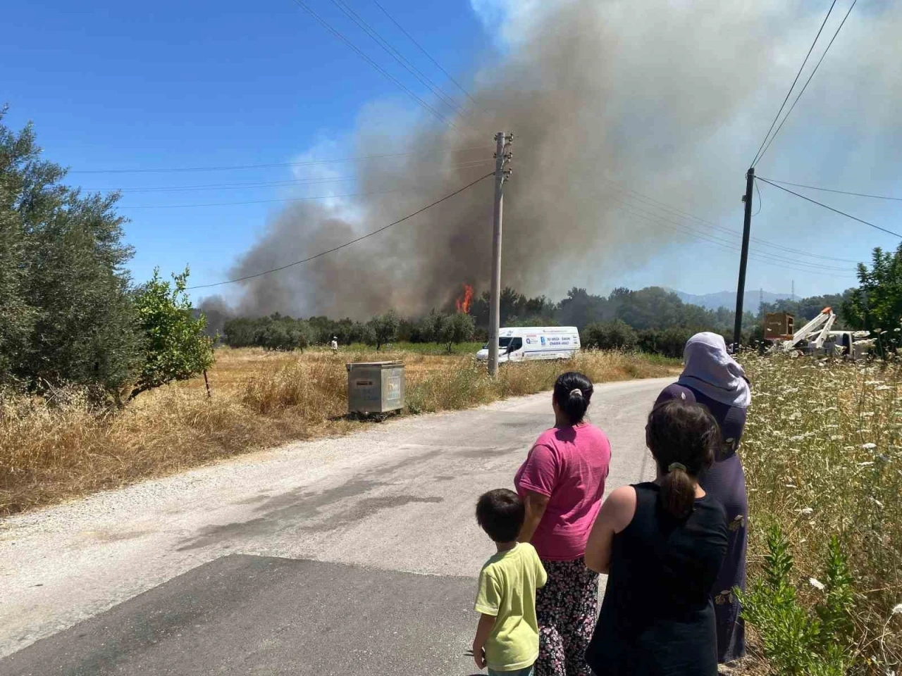 Antalya’da ormanlık alanda yangın
