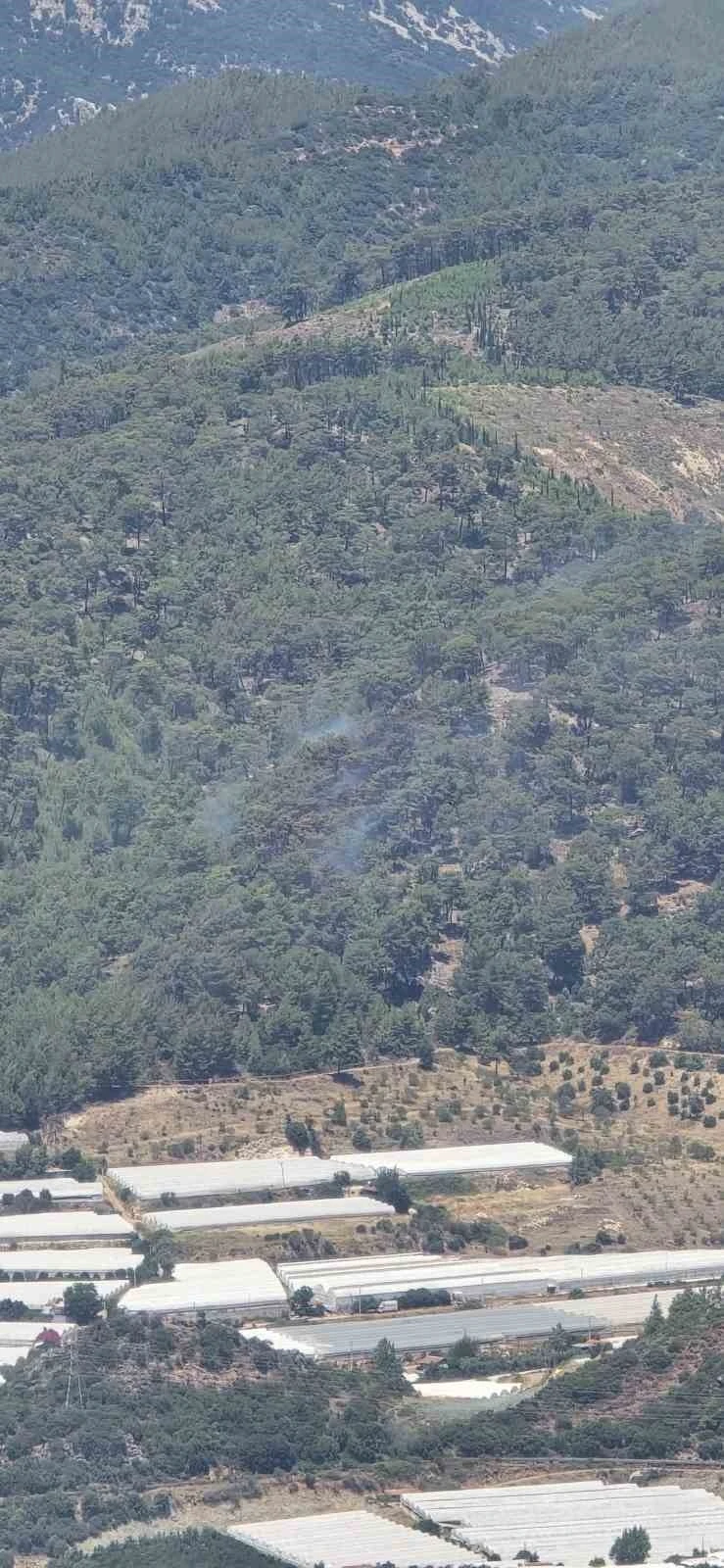 Antalya’daki orman yangını kontrol altına alındı
