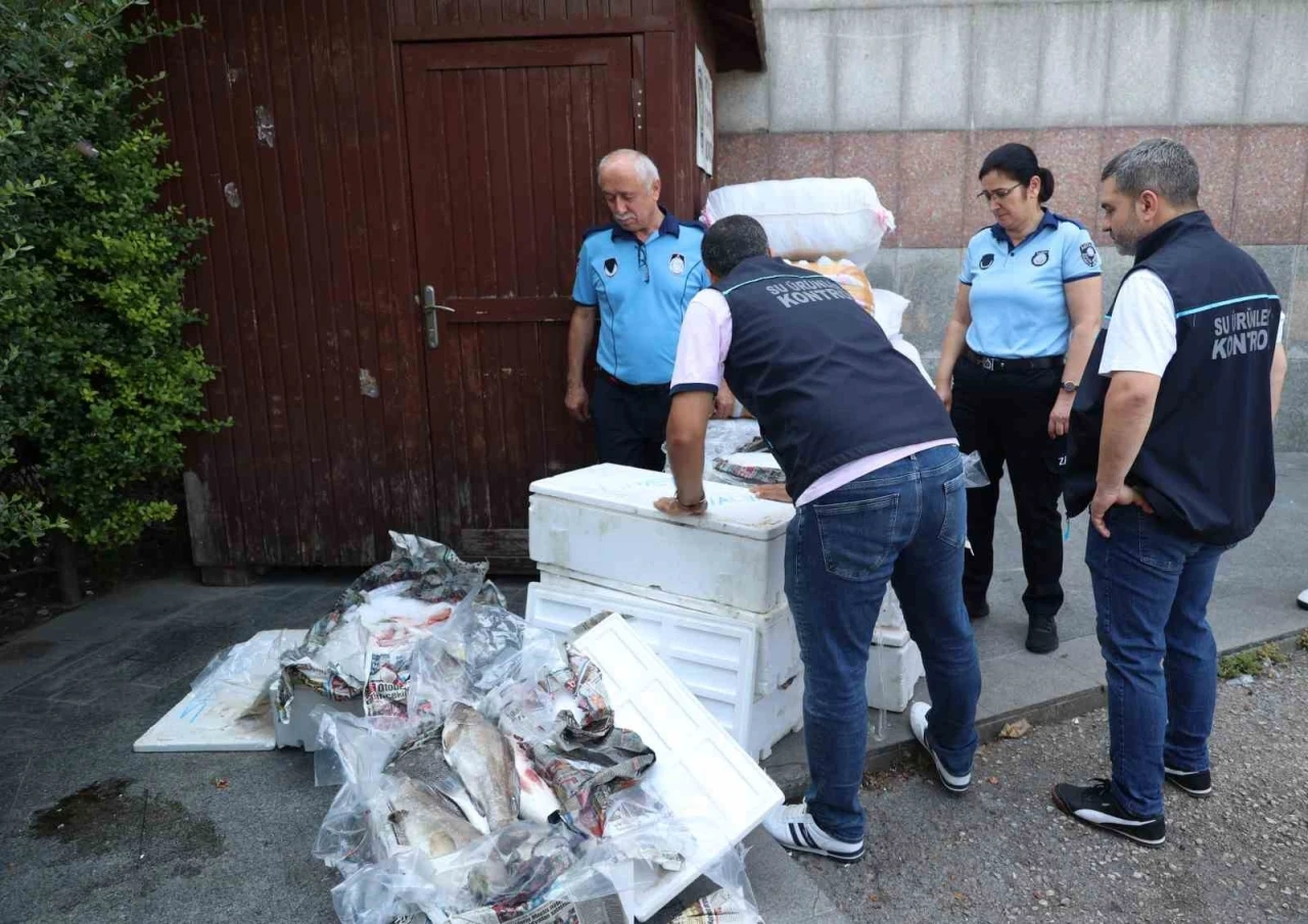 Antalya Otogarı&rsquo;nda balık operasyonu: 260 kilo ele ge&ccedil;irildi

