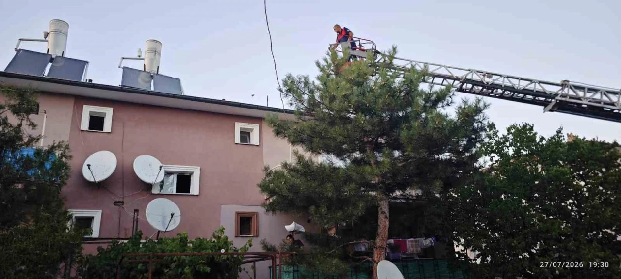 Apartman &ccedil;atısında mahsur kalan kedi itfaiye ekiplerince kurtarıldı

