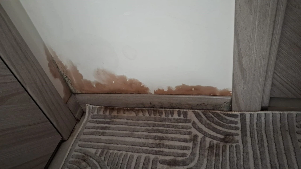 Apartman dairelerinin her yerinden su sızmaya başladı
