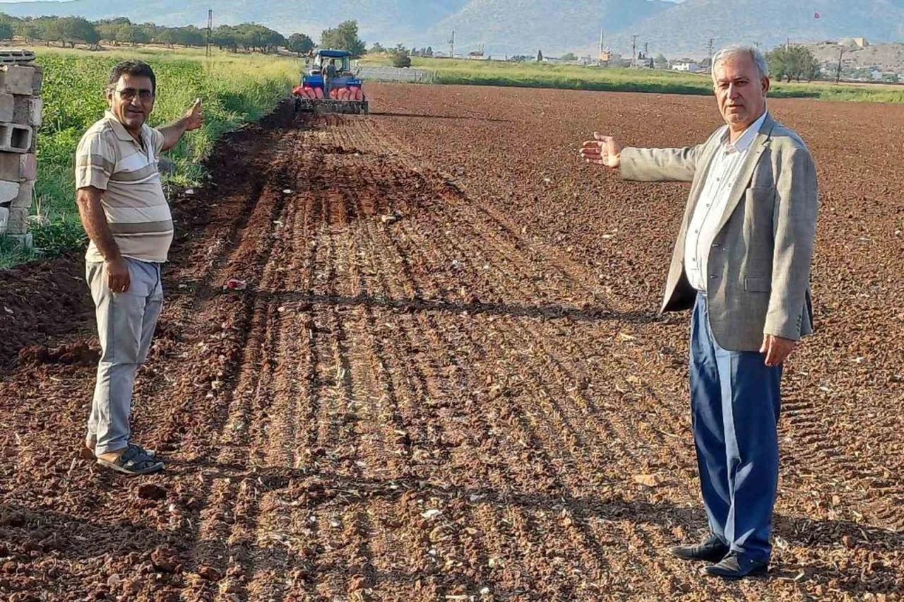 Araban Ovası’nda tecilli Araban sarımsağı ekimine başladı

