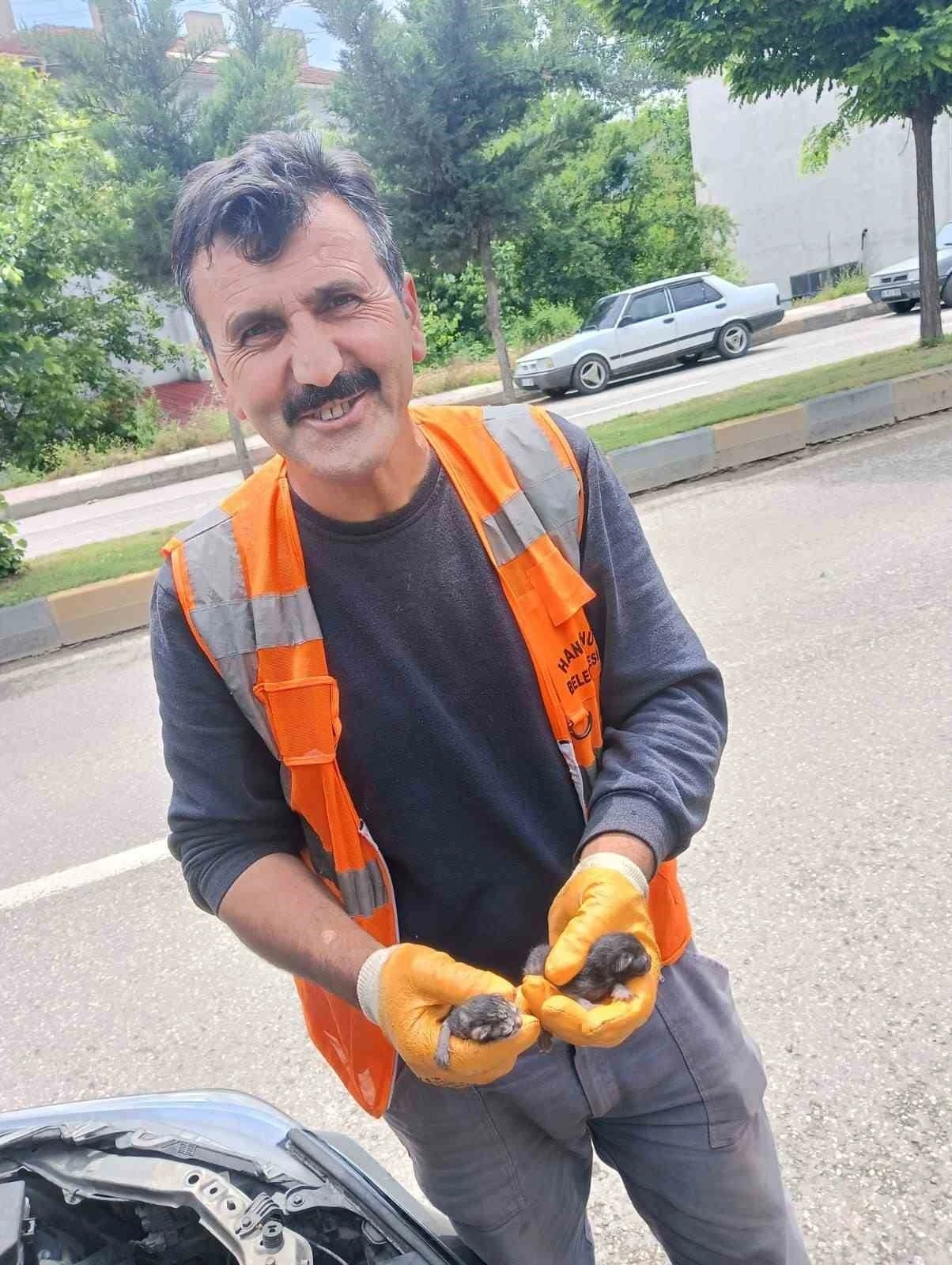 Araç motoruna sıkışan yavru kedileri itfaiye ekipleri kurtardı
