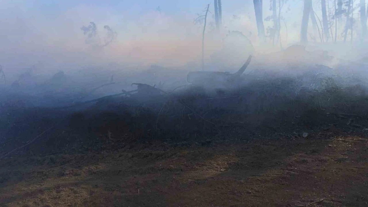 Ara&ccedil; yangını ormanlık alana sı&ccedil;radı, ekipler alevleri b&uuml;y&uuml;meden s&ouml;nd&uuml;rd&uuml;
