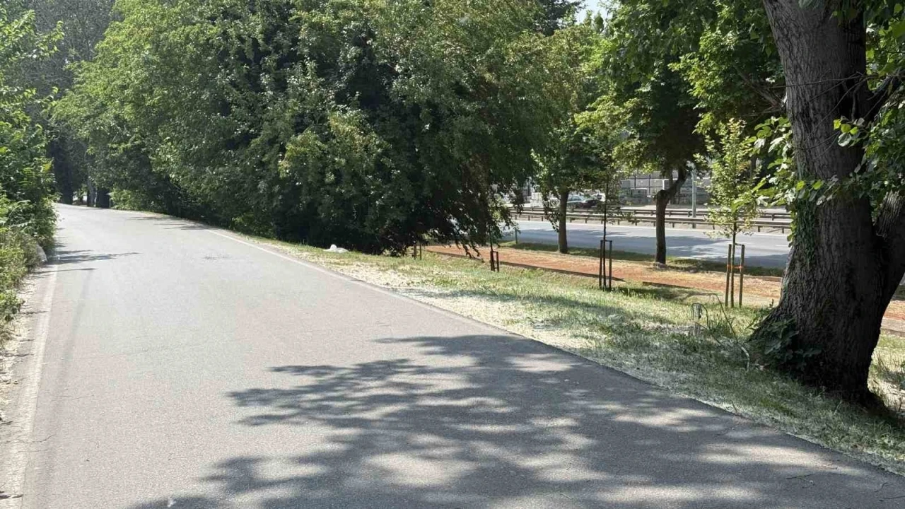 Aracında silahla vurulmuş halde &ouml;l&uuml; bulundu
