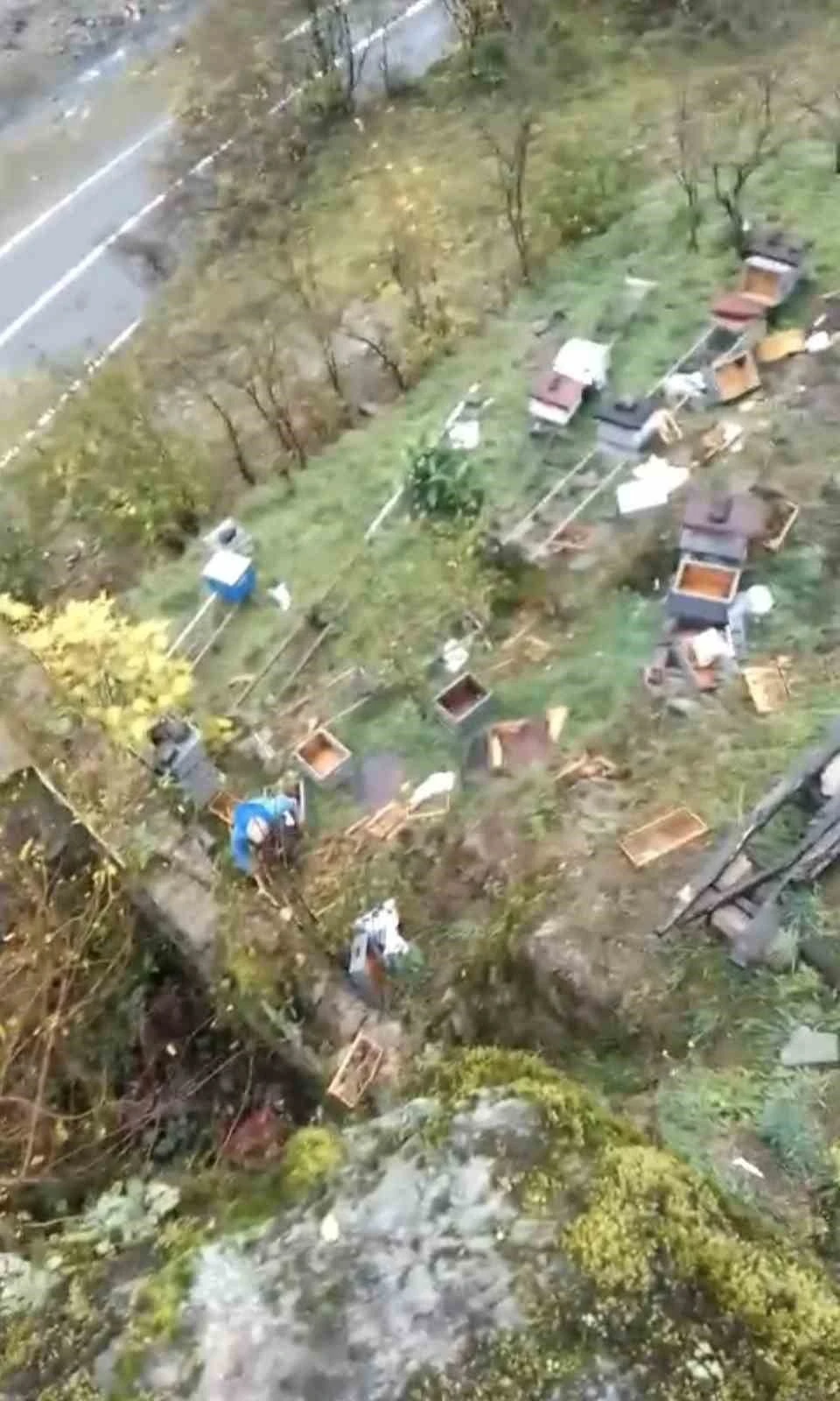 Araklı&rsquo;da ayılar 50&rsquo;den fazla kovanı telef etti
