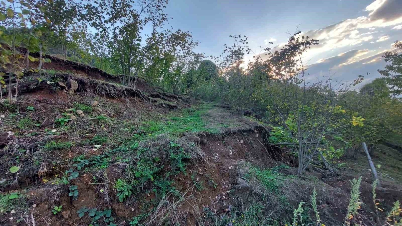 Araziler parçalandı, evler yamuldu: Taş ocağı mahalleyi yok etmeye başladı
