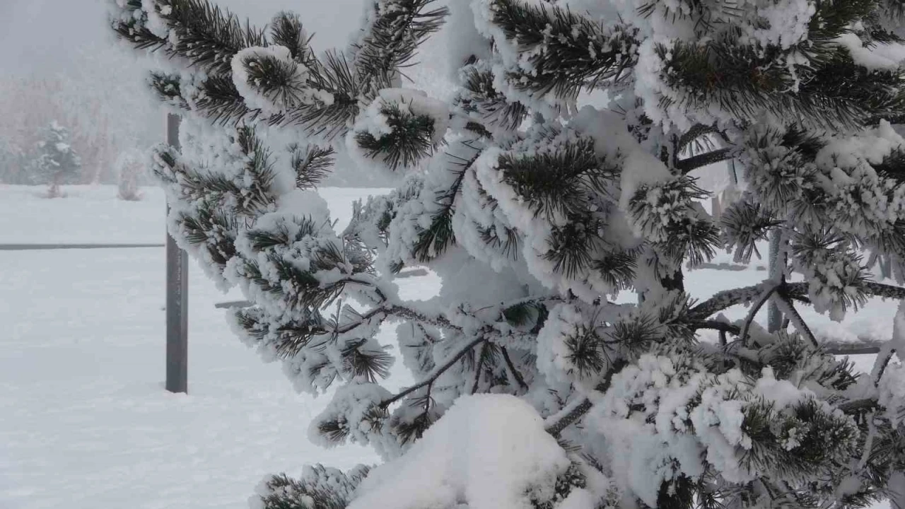 Ardahan&rsquo;da dondurucu soğuklar etkisini artırdı: Ağa&ccedil;lar kırağı tuttu
