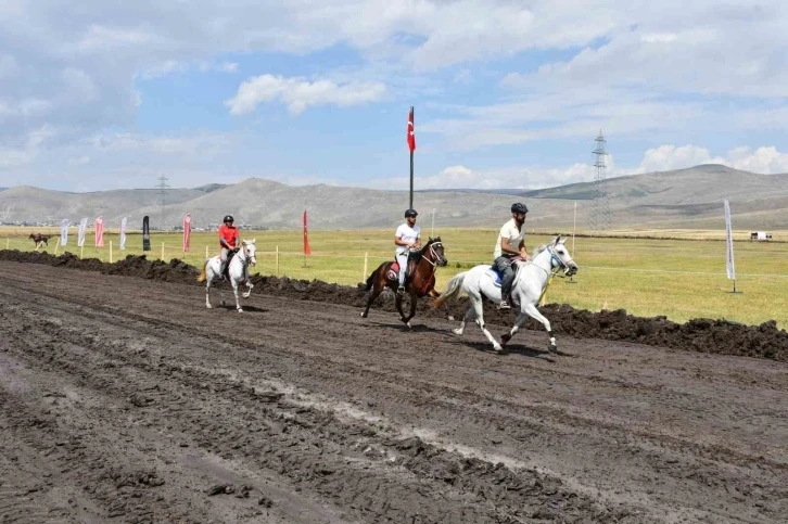 Ardahan’da Rahvan Atları Yarışları’nda final heyecanı