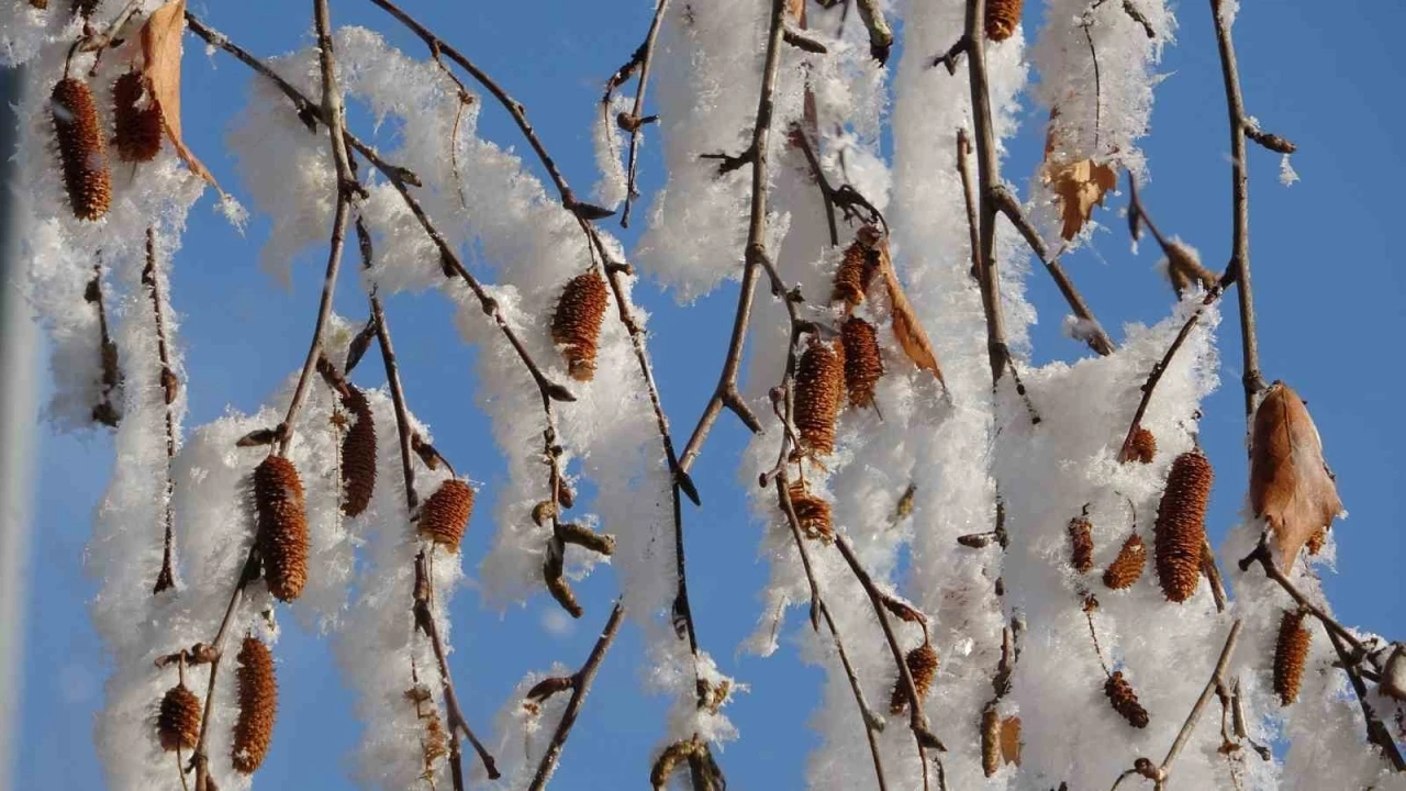 Ardahan&rsquo;da Sibirya soğukları devam ediyor
