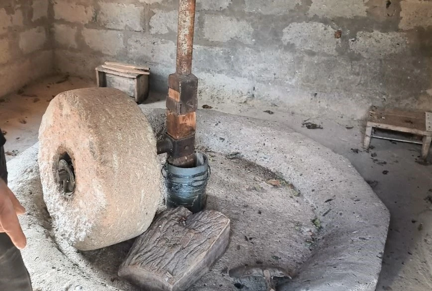 Ardanuç’ta 80 yıllık değirmen geleneksel yöntemlerle üretim yapıyor
