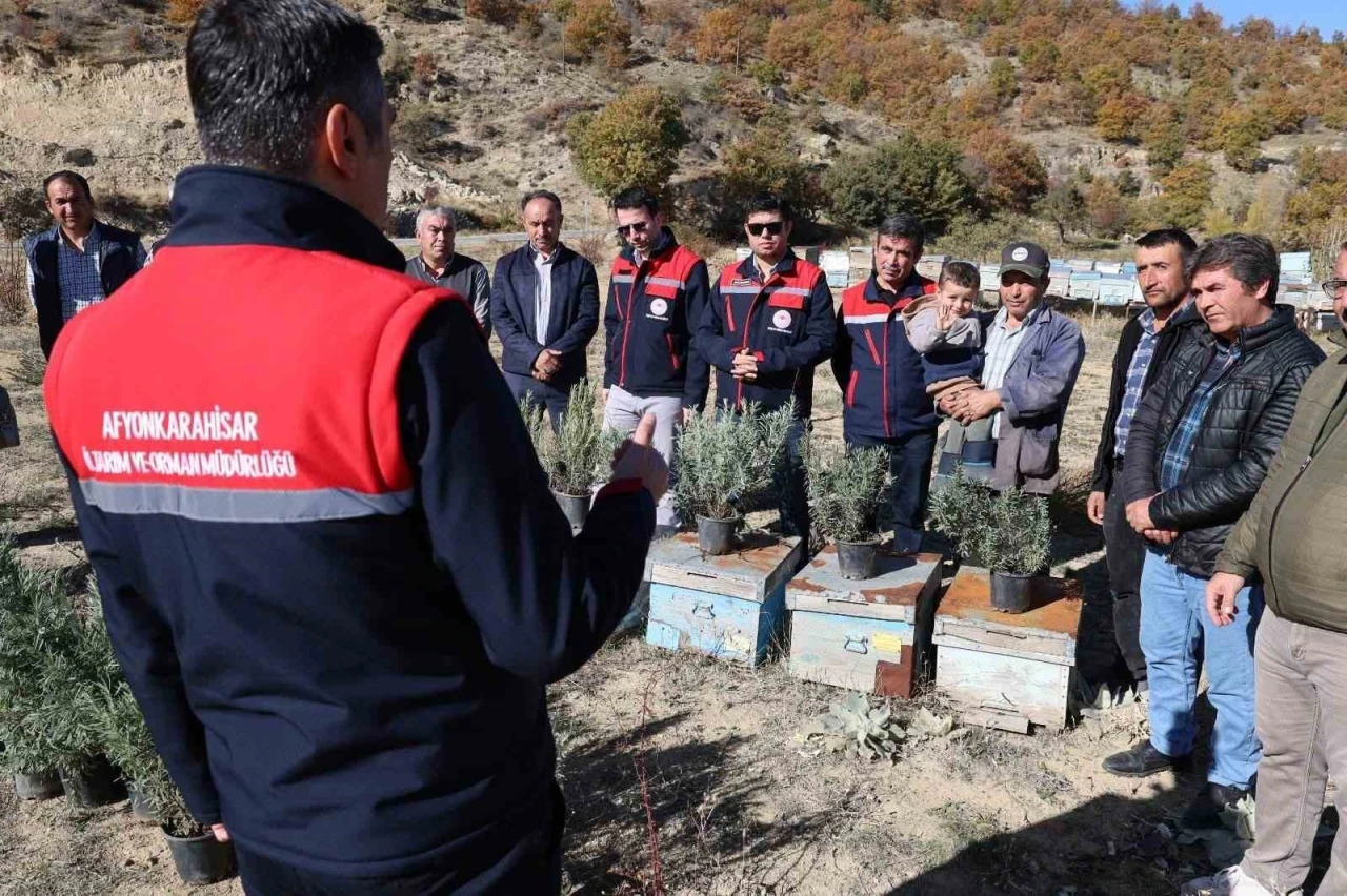 Arıcalara lavanta fidesi dağıtıldı
