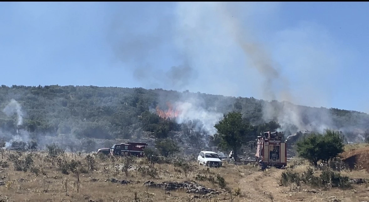 Arıcının t&uuml;ts&uuml;s&uuml; ormanı yaktı
