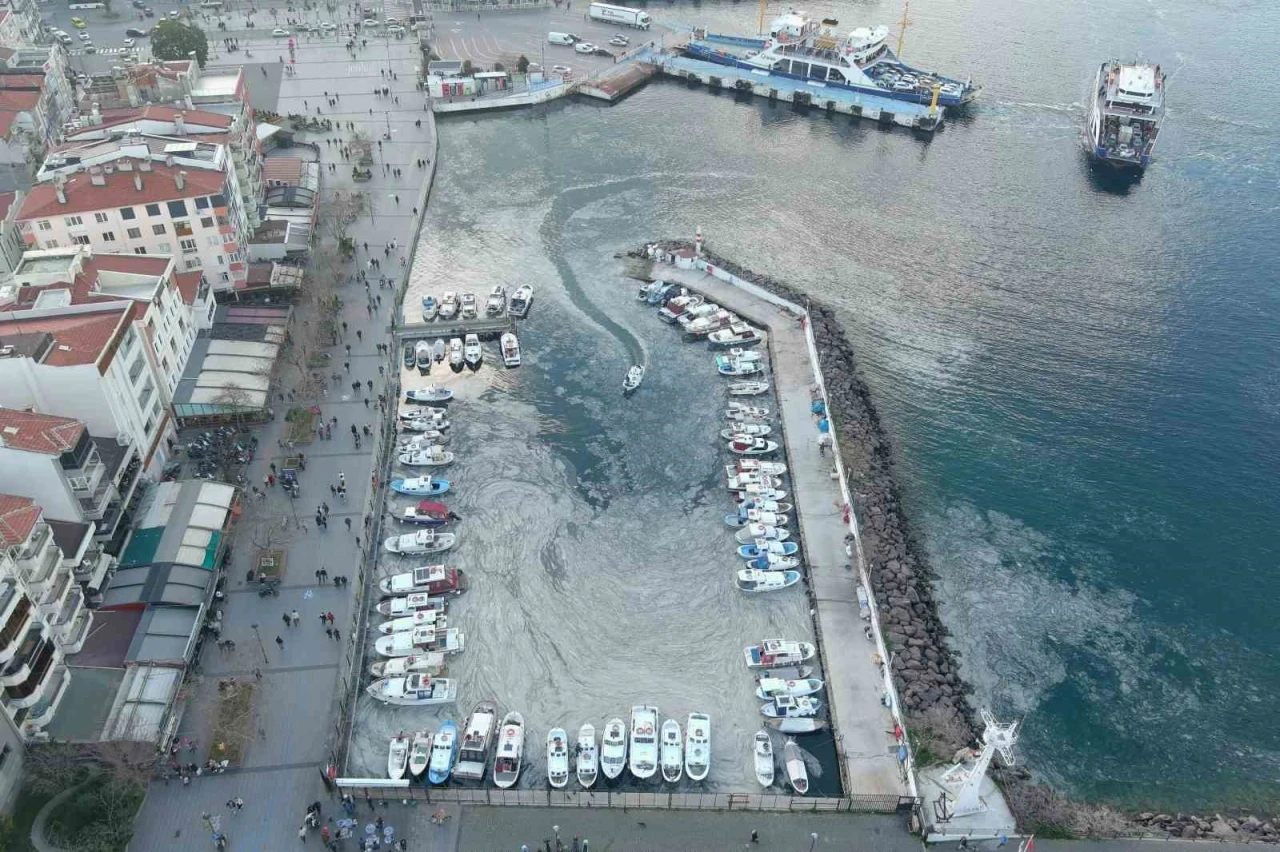 Arıtma sistemlerinin geliştirilmesi hem müsilajın çözümüne hem tarıma katkı sağlayacak
