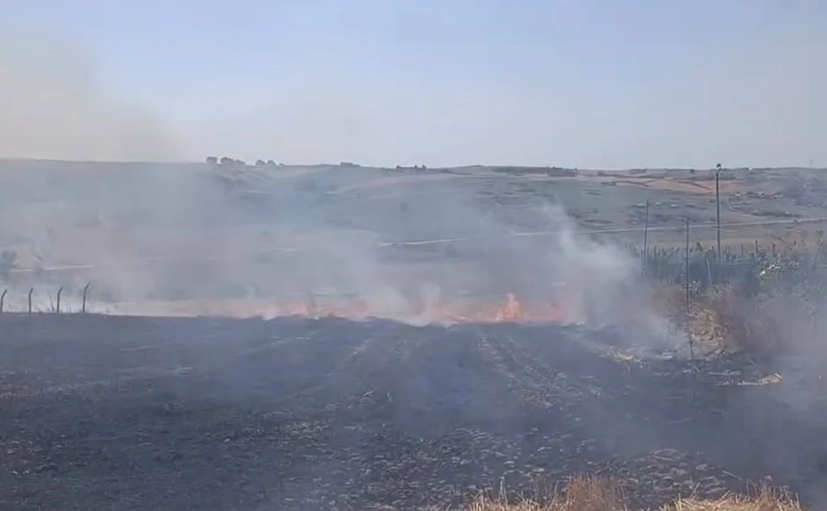 Arnavutköy’de tarla yangını
