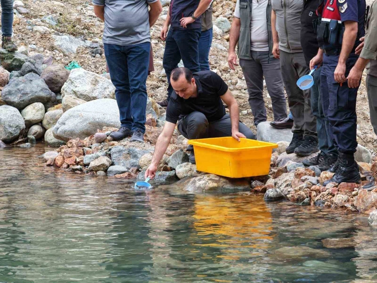 Artvin&rsquo;de 30 bin kırmızı benekli alabalık yavrusu derelerle buluştu
