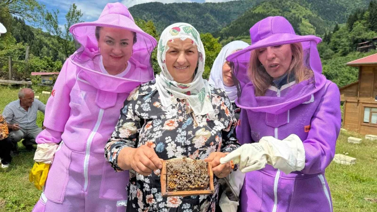 Artvin’de arıcılığı doğa turizmiyle birleştiren &quot;apiturizm&quot; faaliyetleri başladı

