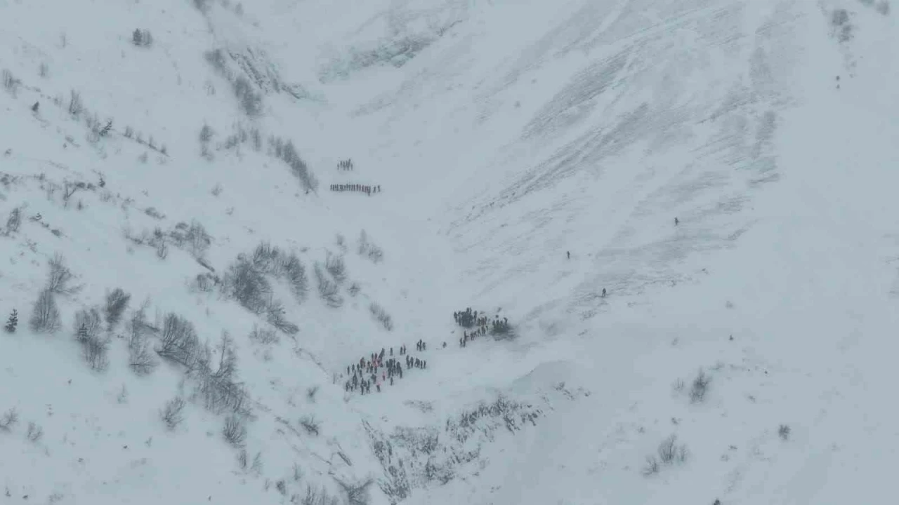 Artvin&rsquo;de &ccedil;ığ altında kalan &ccedil;obanları arama &ccedil;alışmaları havadan g&ouml;r&uuml;nt&uuml;lendi
