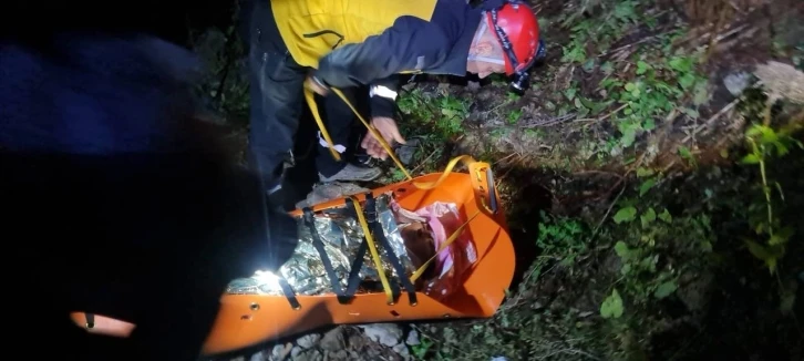 Artvin&rsquo;de kamyonet u&ccedil;uruma yuvarlandı: 3 yaralı
