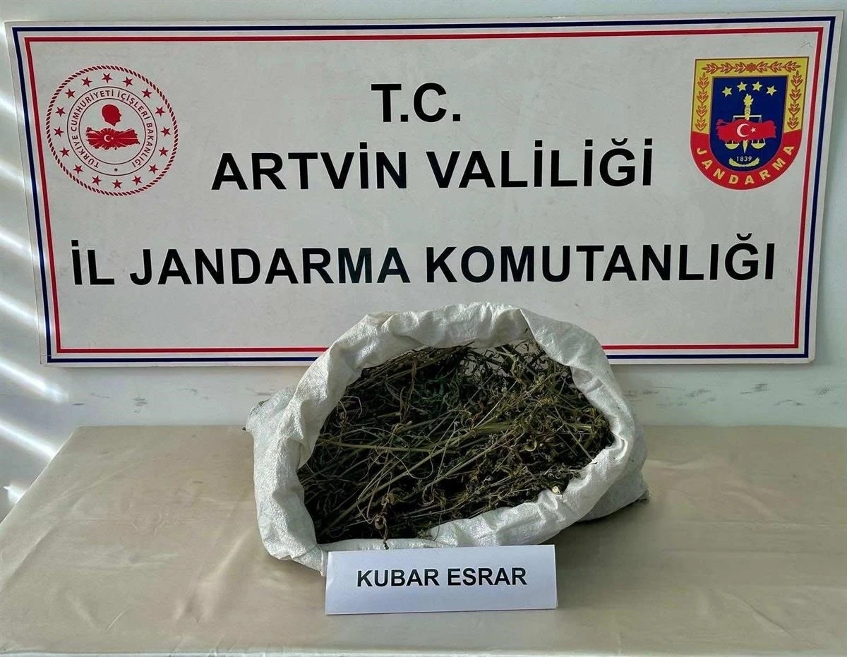 Artvin’de uyuşturucu operasyonu
