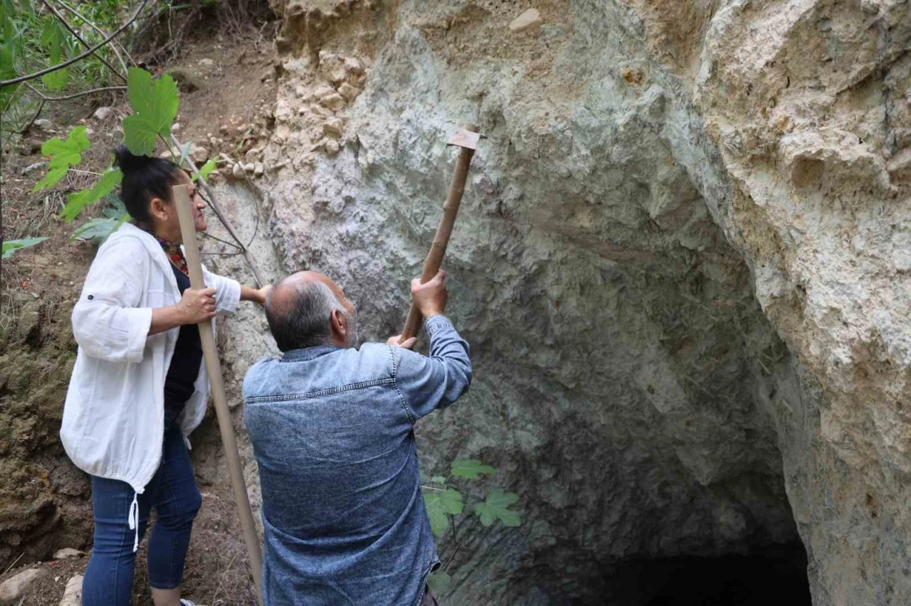Asırlık cerecilik geleneği bilimsel &ccedil;alışmalarla geleceğe taşınıyor
