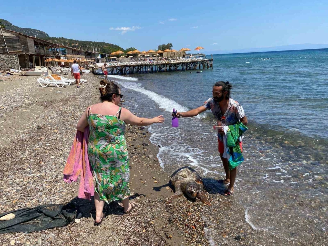 Assos sahilinde ölü caretta caretta bulundu
