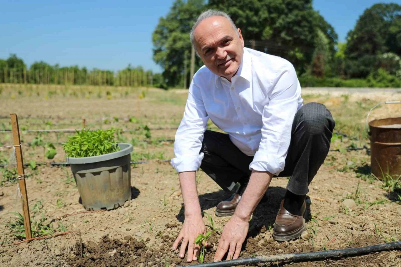 Ata tohumları toprakla buluştu
