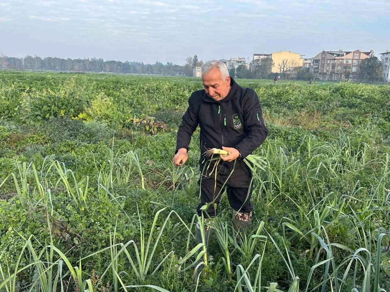 Ata tohumundan ilaç kullanılmadan üretiliyor, Kent Lokantası’ndaki yemeklerde kullanılıyor
