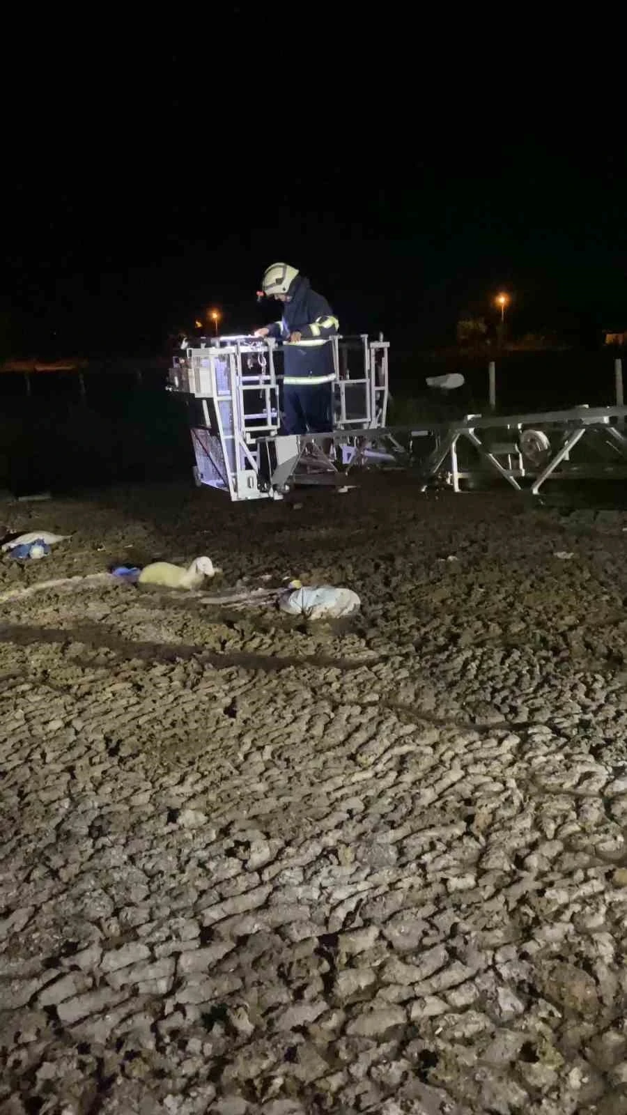 Atık dökülen alanda mahsur kalan koyunu itfaiyeciler kurtardı
