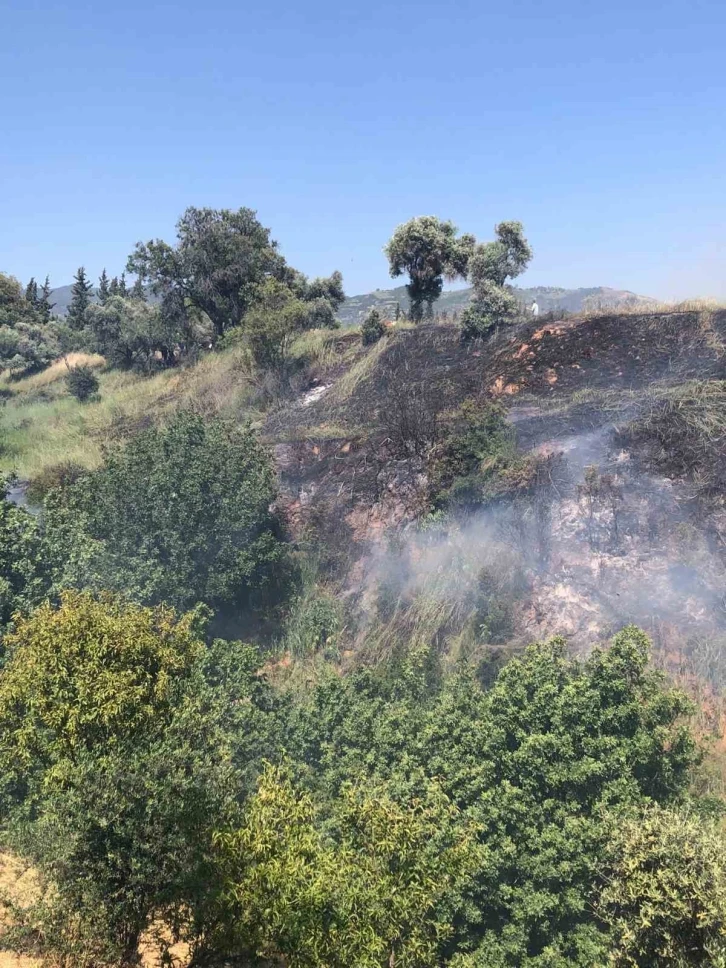 Aydın’da arazi yangını korkuttu
