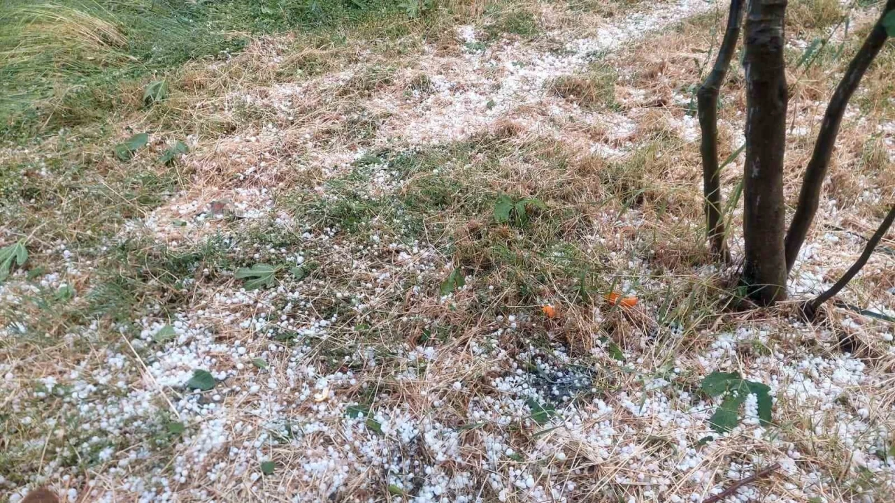Aydın’da dolu etkili oldu, ağaçlar zarar gördü