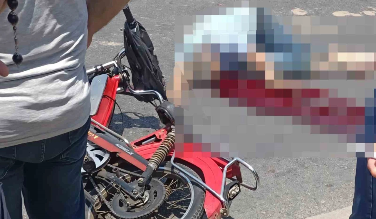 Aydın&rsquo;da trafik kazası: 1 &ouml;l&uuml;
