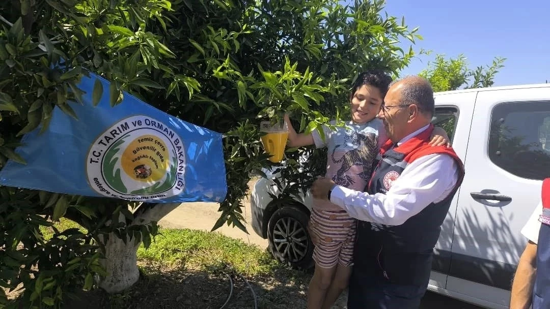 Aydın’da üreticilere 12 bin Akdeniz meyve sineği tuzağı teslim edildi
