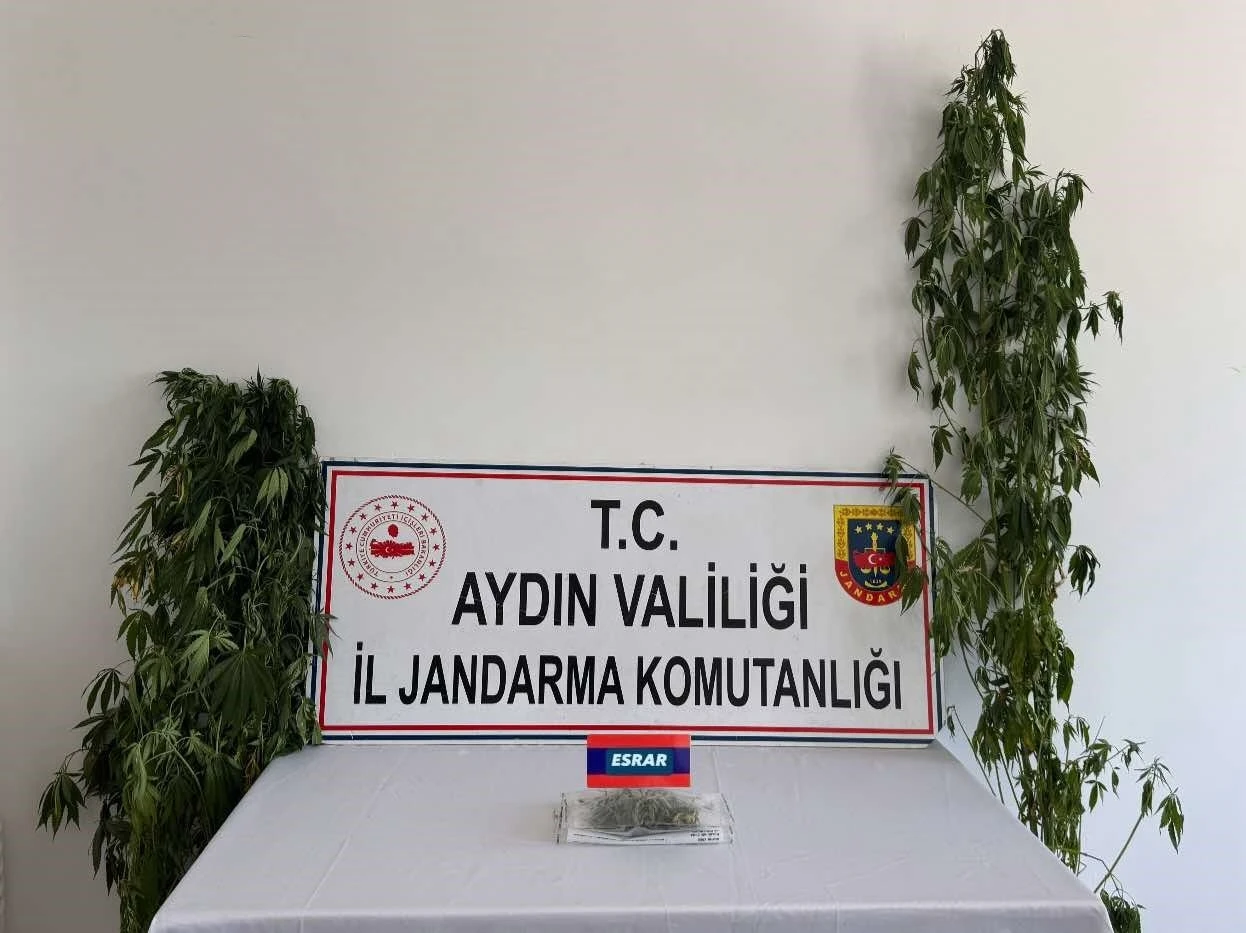 Aydın’da uyuşturucu operasyonu: 13 şüpheli yakalandı
