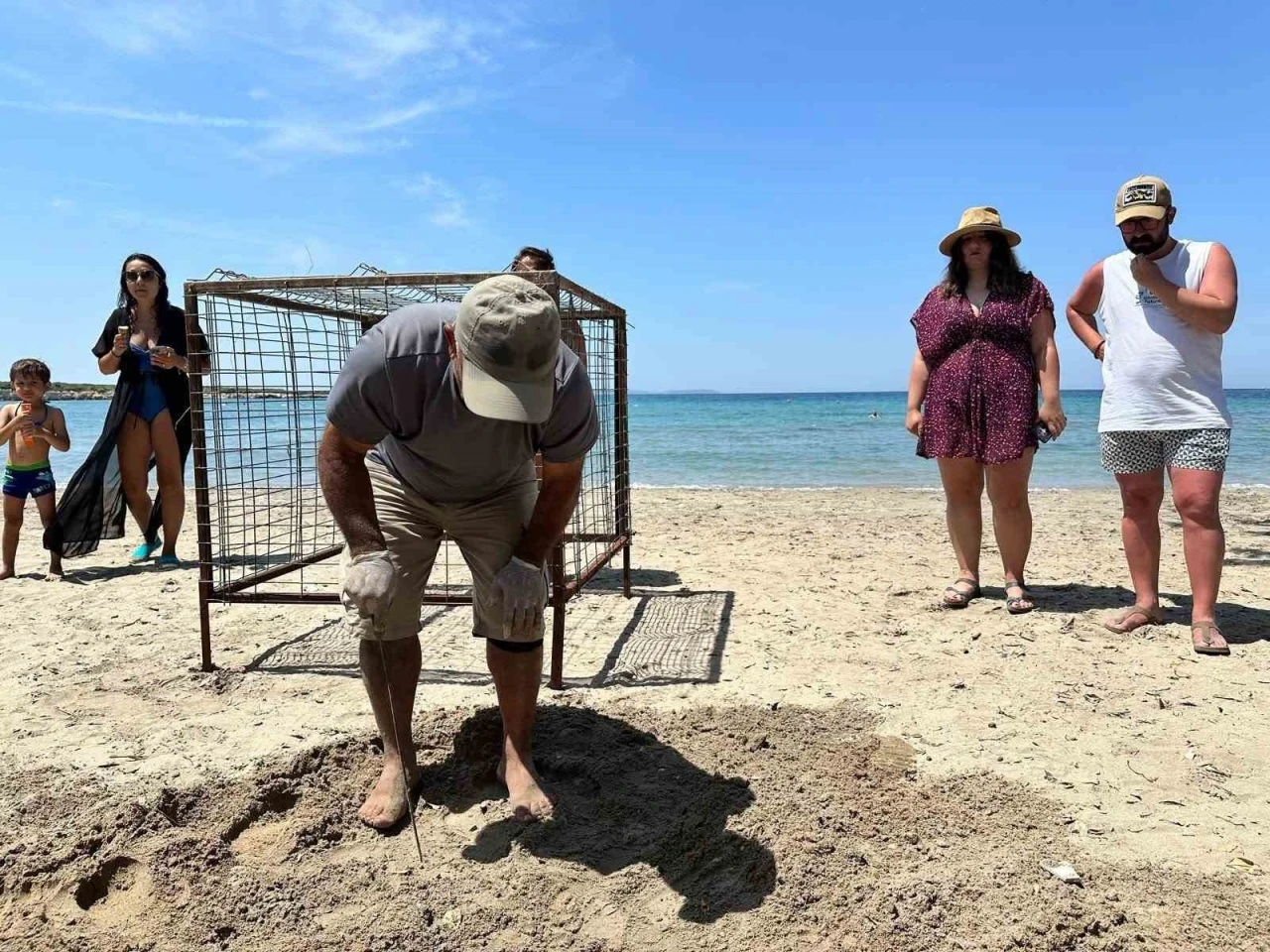 Aydın’da yılın ilk Caretta Caretta yuvası tespit edildi