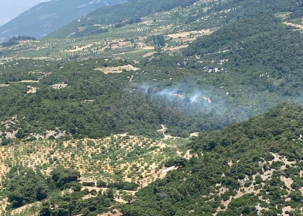 Aydın’daki orman yangını kontrol altına alındı
