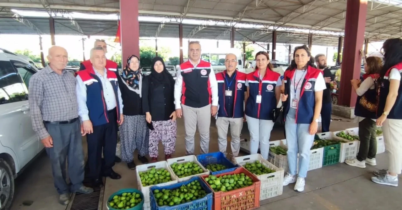 Aydın inciri i&ccedil;in denetimler s&uuml;r&uuml;yor
