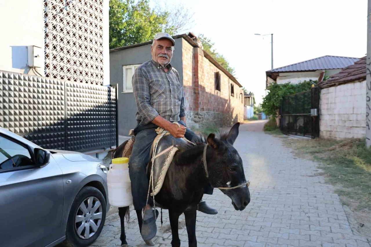 Ayhan amca yokluktan değil, s&uuml;r&uuml;c&uuml; belgesi olmadığından eşeği ile servis yapıyor
