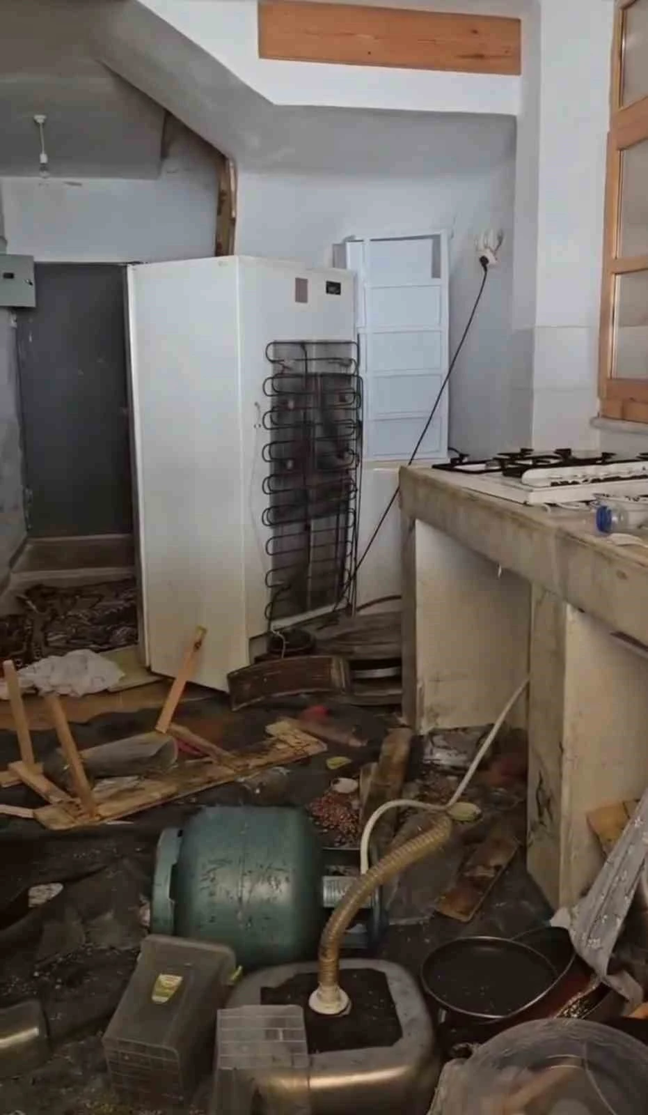 Ayılar bu kez belediye başkanının evine girdi

