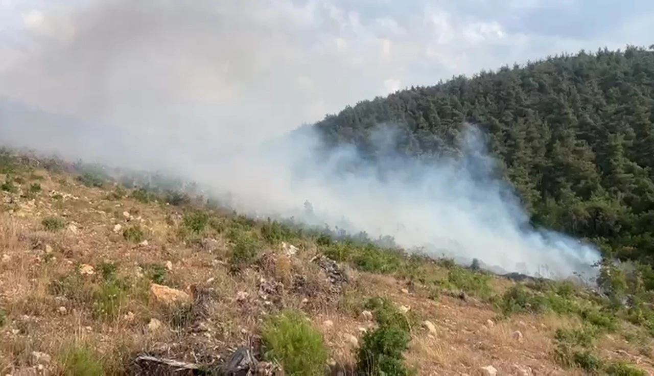 Aynı bölgede 15 günde 2’nci orman yangını
