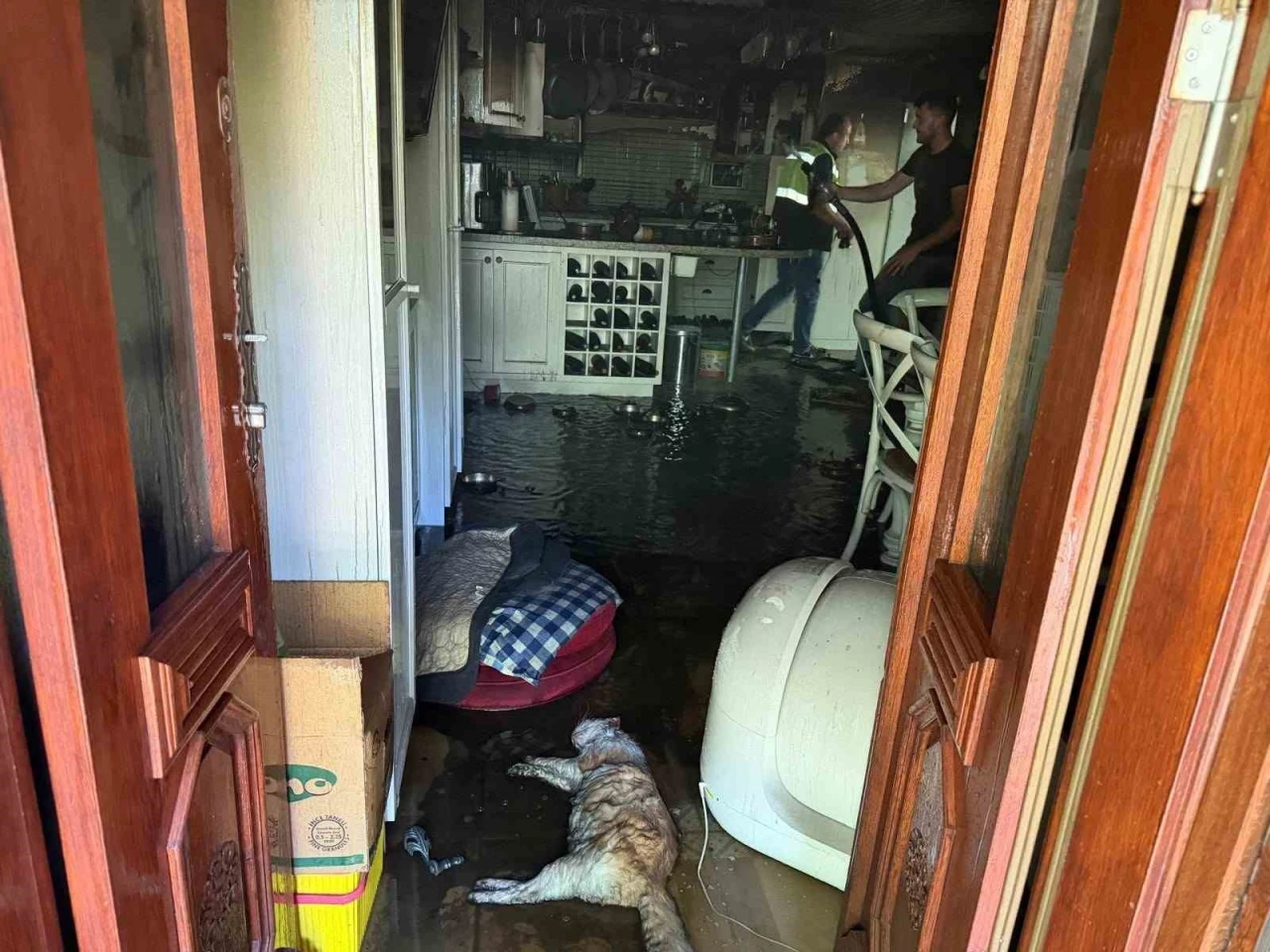 Ayvacık&rsquo;ta ev yangınında 2 kedi telef oldu
