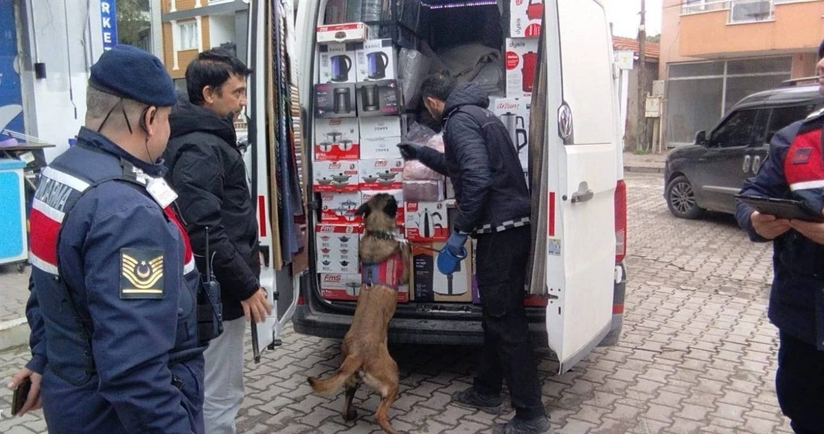 Ayvalık’ta jandarma suçlulara geçit vermedi