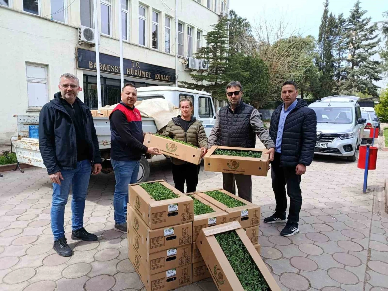 Babaeski&rsquo;de &uuml;reticiye 2 bin kırmızı domates fidesi verildi
